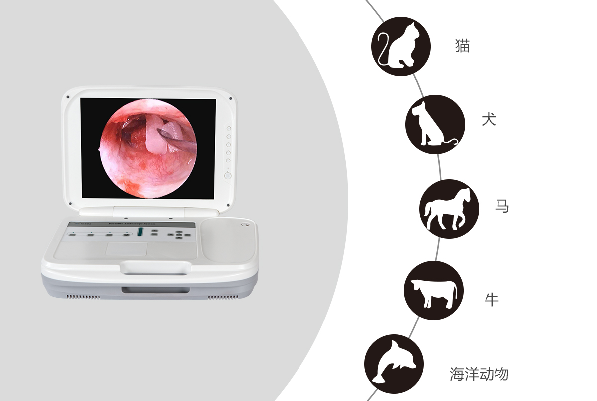 內窺鏡攝像機的應用領域有哪些？